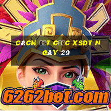 Cách đặt cược XSDT ngày 29