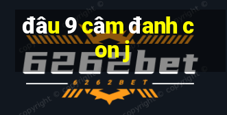 đâu 9 câm đanh con j