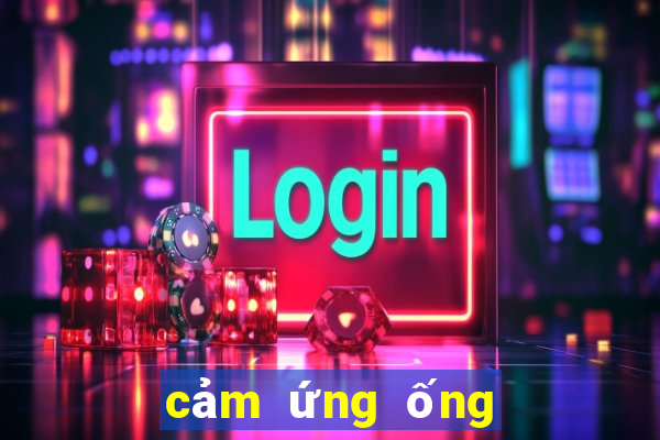 cảm ứng ống xóc đĩa bịp