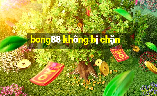 bong88 khong bi chan