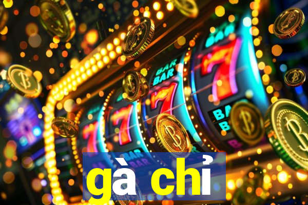 gà chỉ