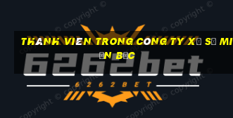 thành viên trong công ty xổ số miền bắc