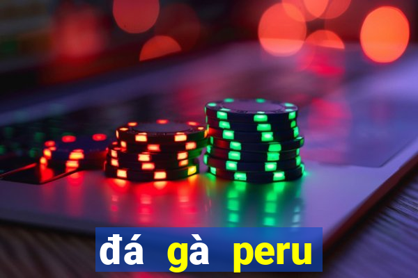 đá gà peru cựa dao