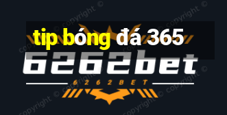 tip bóng đá 365