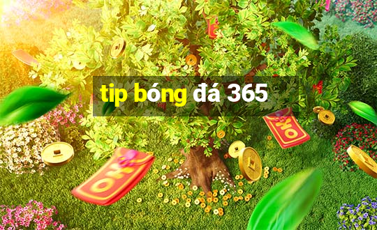 tip bóng đá 365