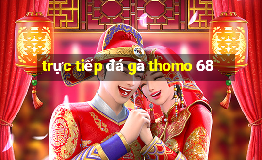 trực tiếp đá gà thomo 68