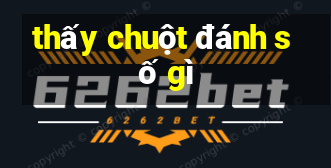 thấy chuột đánh số gì