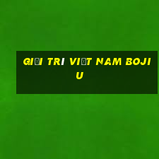 Giải trí Việt nam Bojiu