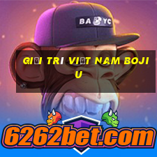 Giải trí Việt nam Bojiu