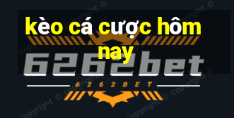 kèo cá cược hôm nay