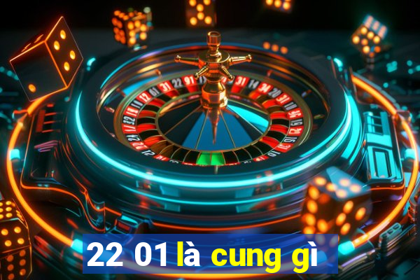 22 01 là cung gì