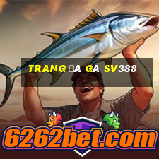 trang đá gà sv388