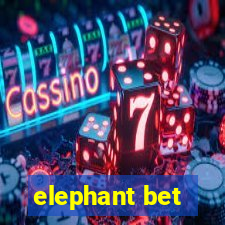 elephant bet