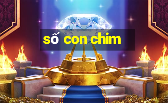 số con chim