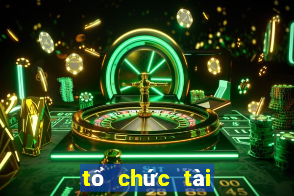 tổ chức tài chính vi mô cep