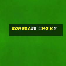 bongda88 đăng ký