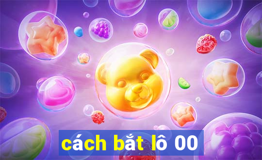 cách bắt lô 00