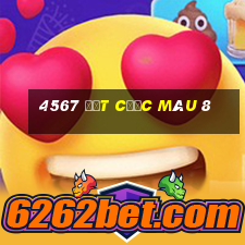 4567 đặt cược màu 8