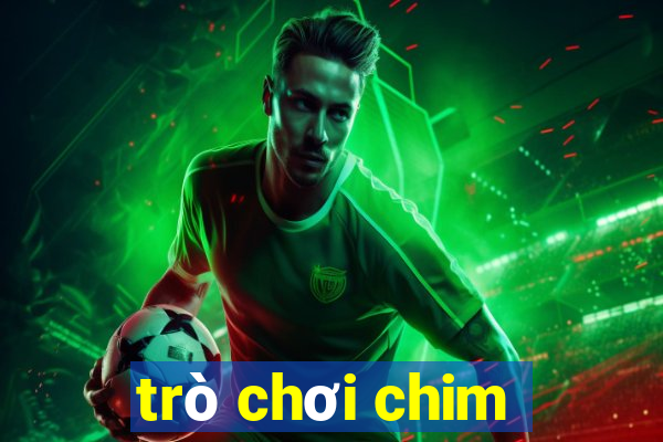 trò chơi chim