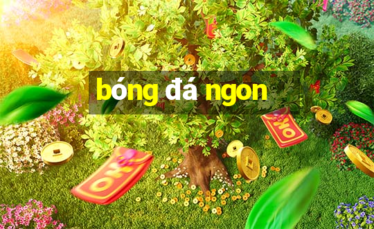 bóng đá ngon