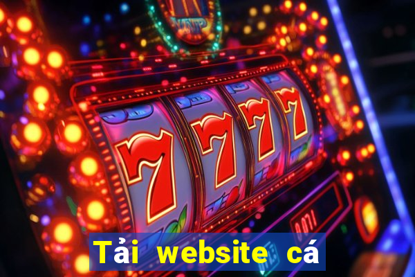 Tải website cá cược bóng đá