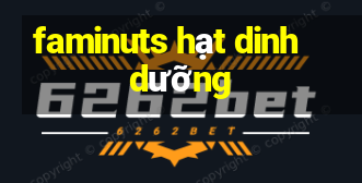 faminuts hạt dinh dưỡng