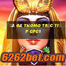 đá gà thomo trực tiếp cpc1