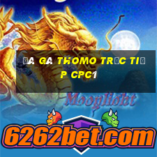 đá gà thomo trực tiếp cpc1