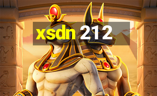 xsdn 21 2