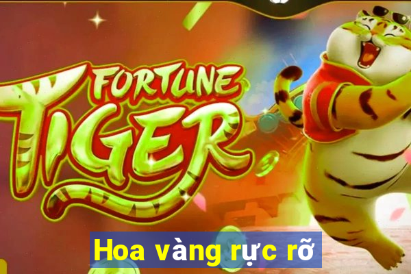 Hoa vàng rực rỡ