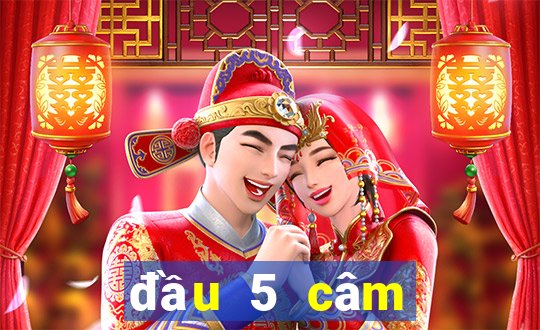 đầu 5 câm đánh con gì