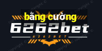 bằng cường