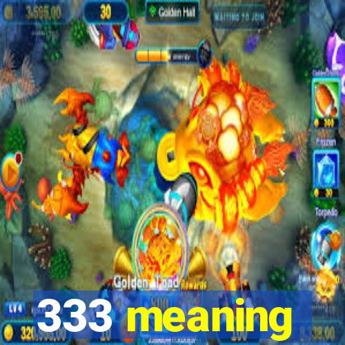 333 meaning