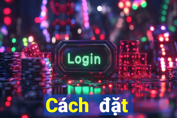 Cách đặt cược XSHP ngày mai