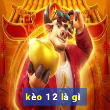 kèo 1 2 là gì