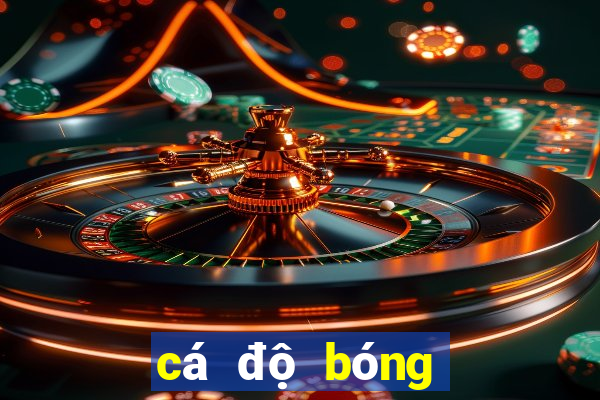 cá độ bóng đá uy tín