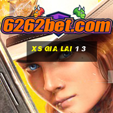 xs gia lai 1 3