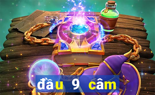 đầu 9 câm đánh con gì