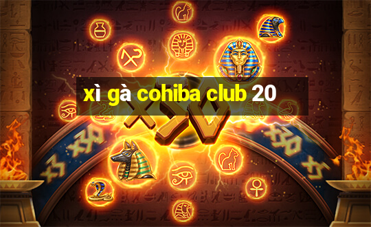 xì gà cohiba club 20