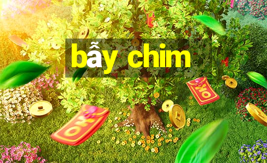 bẫy chim