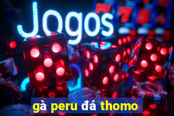 gà peru đá thomo