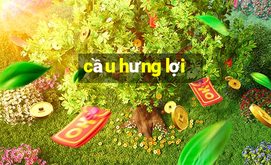 cầu hưng lợi