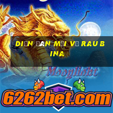 Diễn đàn mới về rau bina