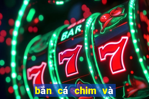 bắn cá chim và động vật