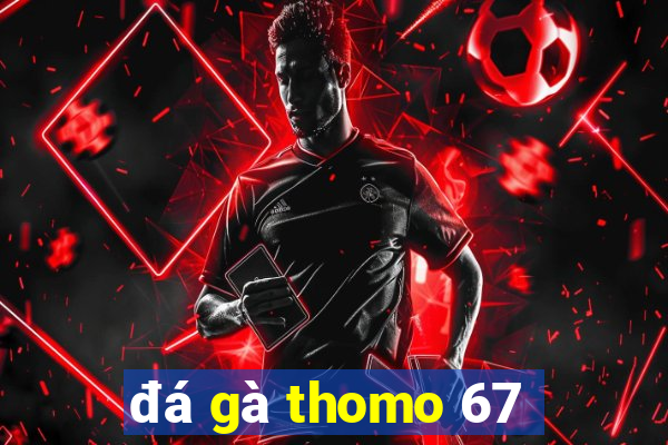 đá gà thomo 67