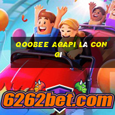 qoobee agapi là con gì