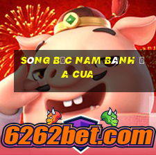 sòng bạc nam bánh đa cua