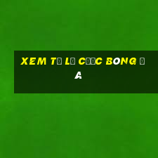 xem tỷ lệ cược bóng đá