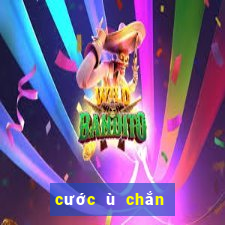 cước ù chắn thập thành