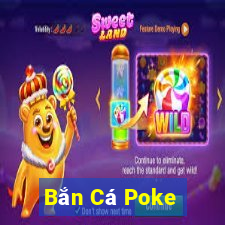 Bắn Cá Poke